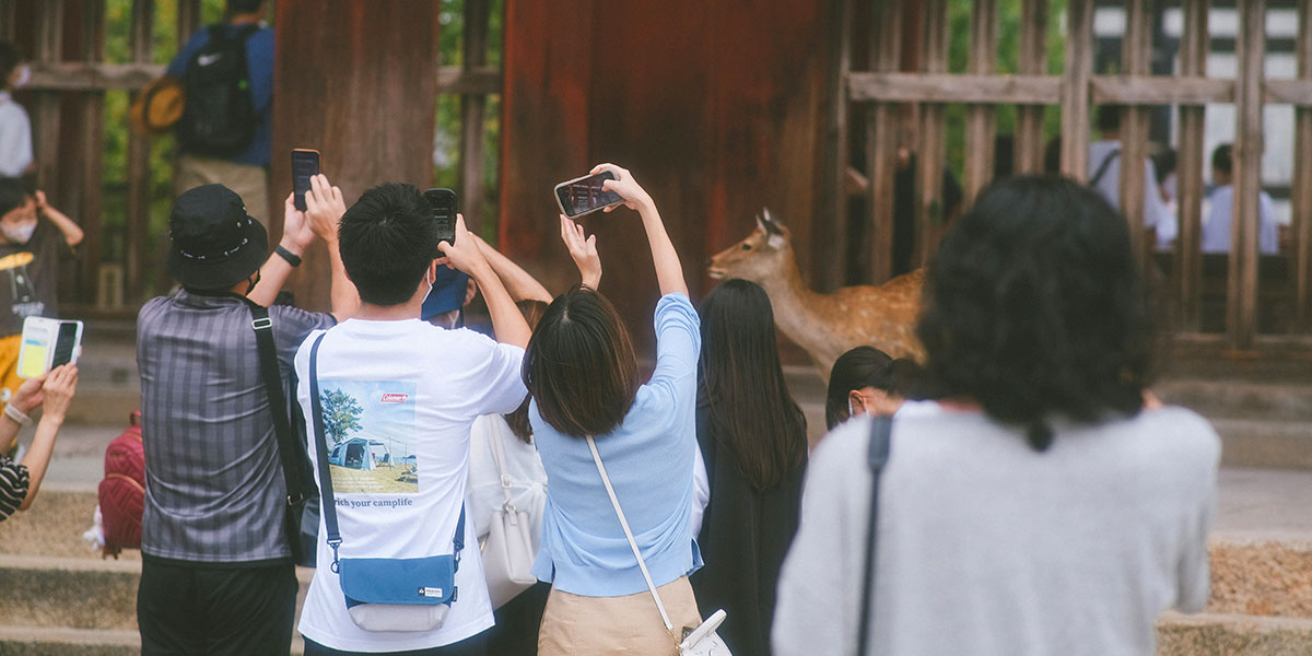 나라-사슴공원-사진-사람들