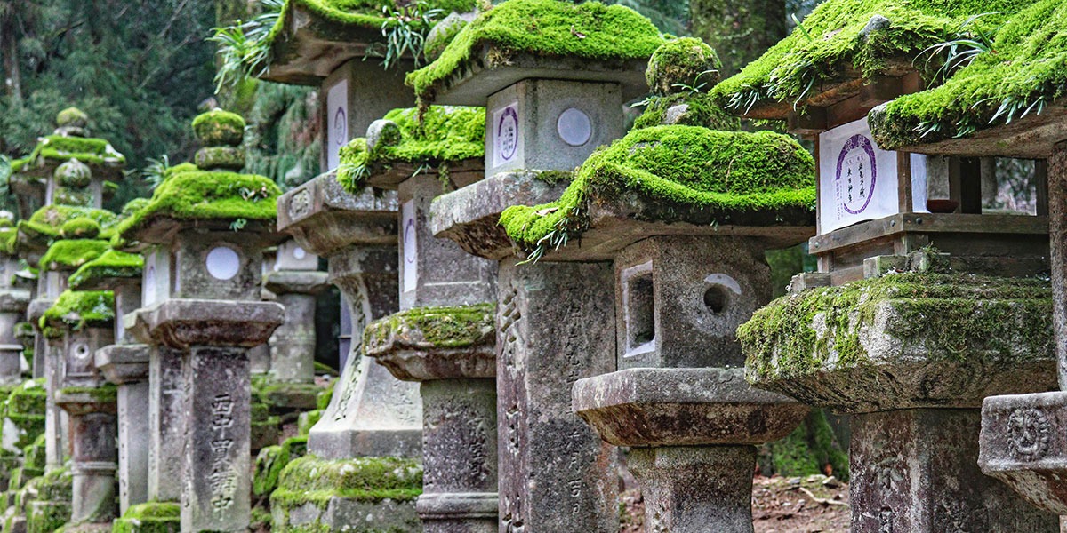 나라-카스가-타이샤-석등