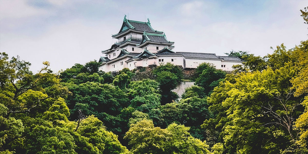 와카야마성-나무