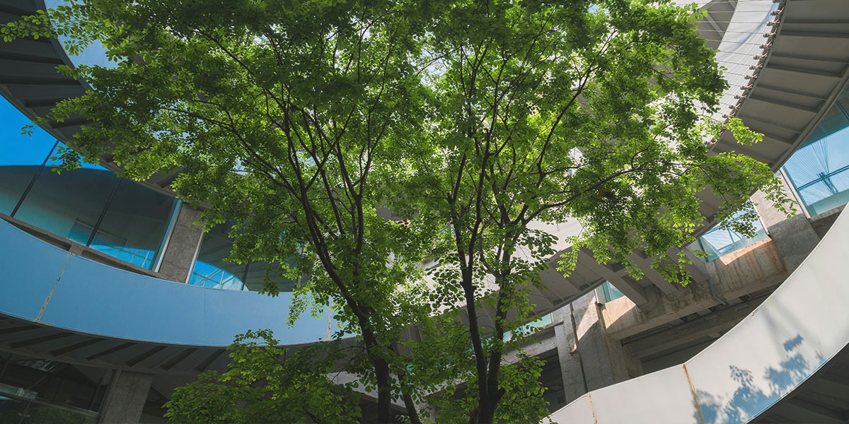 ESG-경영-회사-나무