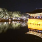 경주-동궁과-월지-야경-나무-지원노트